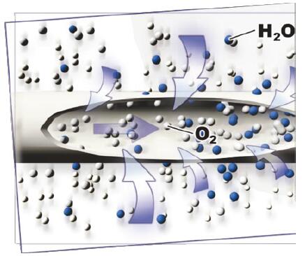 水分子和氧分子在SR醫(yī)療制氧機用氧氣加濕器的中空纖維膜絲流向